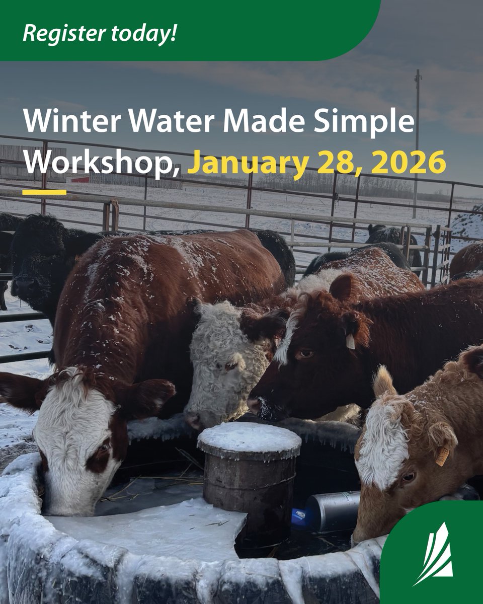 SKAgriculture's tweet photo. Join our Ministry, in partnership with the Saskatchewan Association of Watersheds, for a Livestock Winter Water Workshop in Fort Qu'Appelle.  

Register today: https://t.co/4RDkA6NecG https://t.co/Jiynokxcww