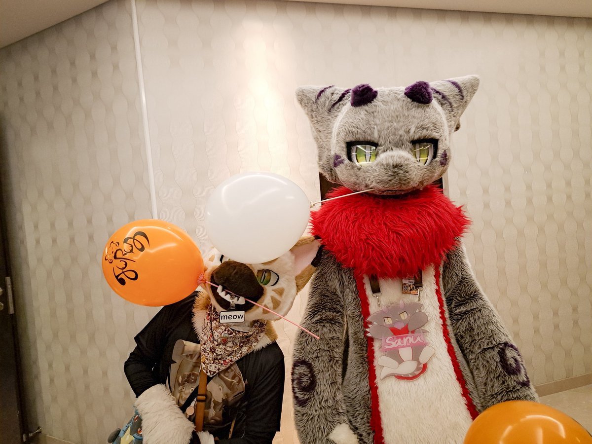 Sanu Keçisy ➡️ 関西けもケット tweet media