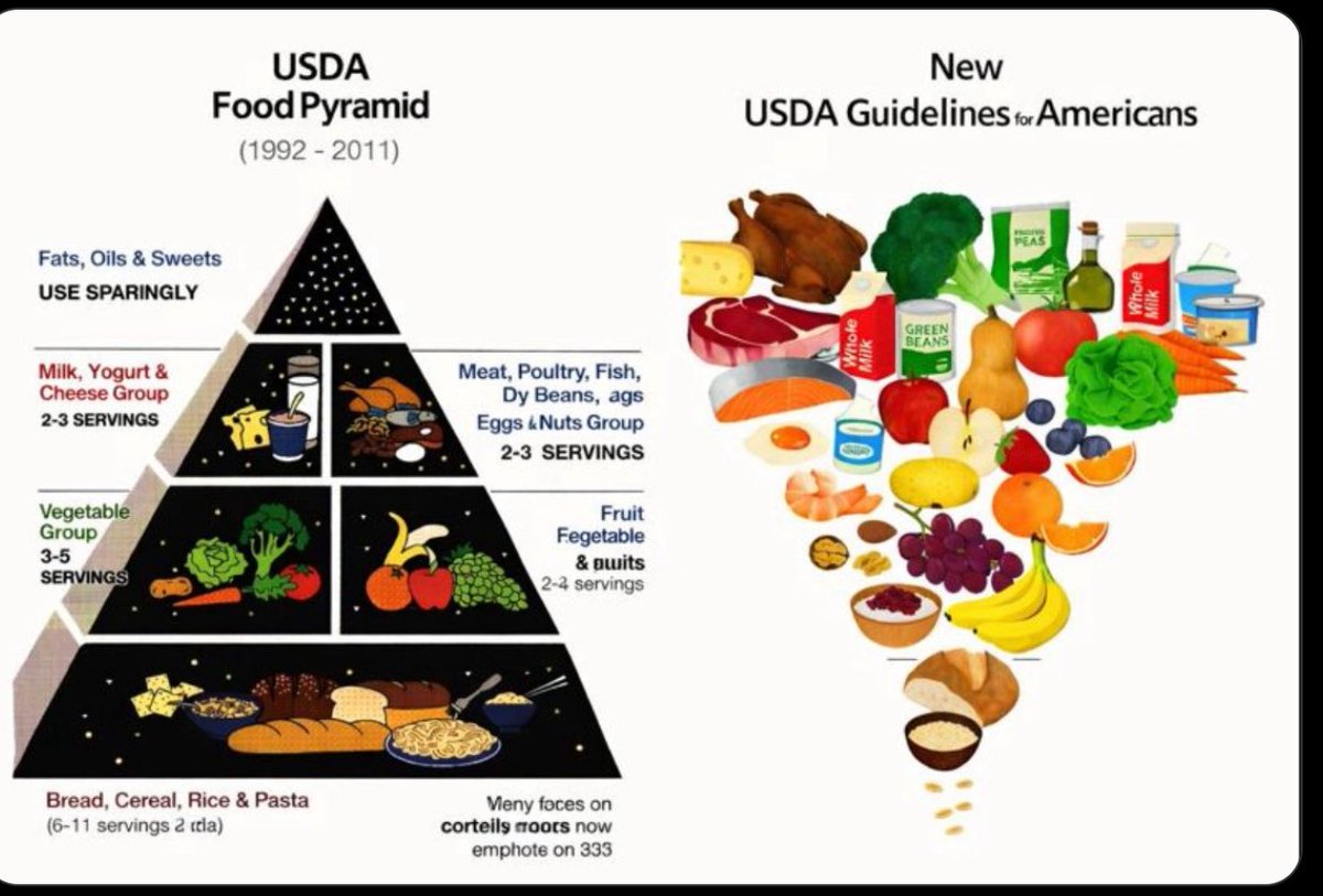 New Food pyramid. About time. The original carb-focused one emerged in the 1970s - I think it was in Sweden - and has ruined millions of people's health. Glad to see Keto advice reaching the Establishment, thanks to RFK Jr.