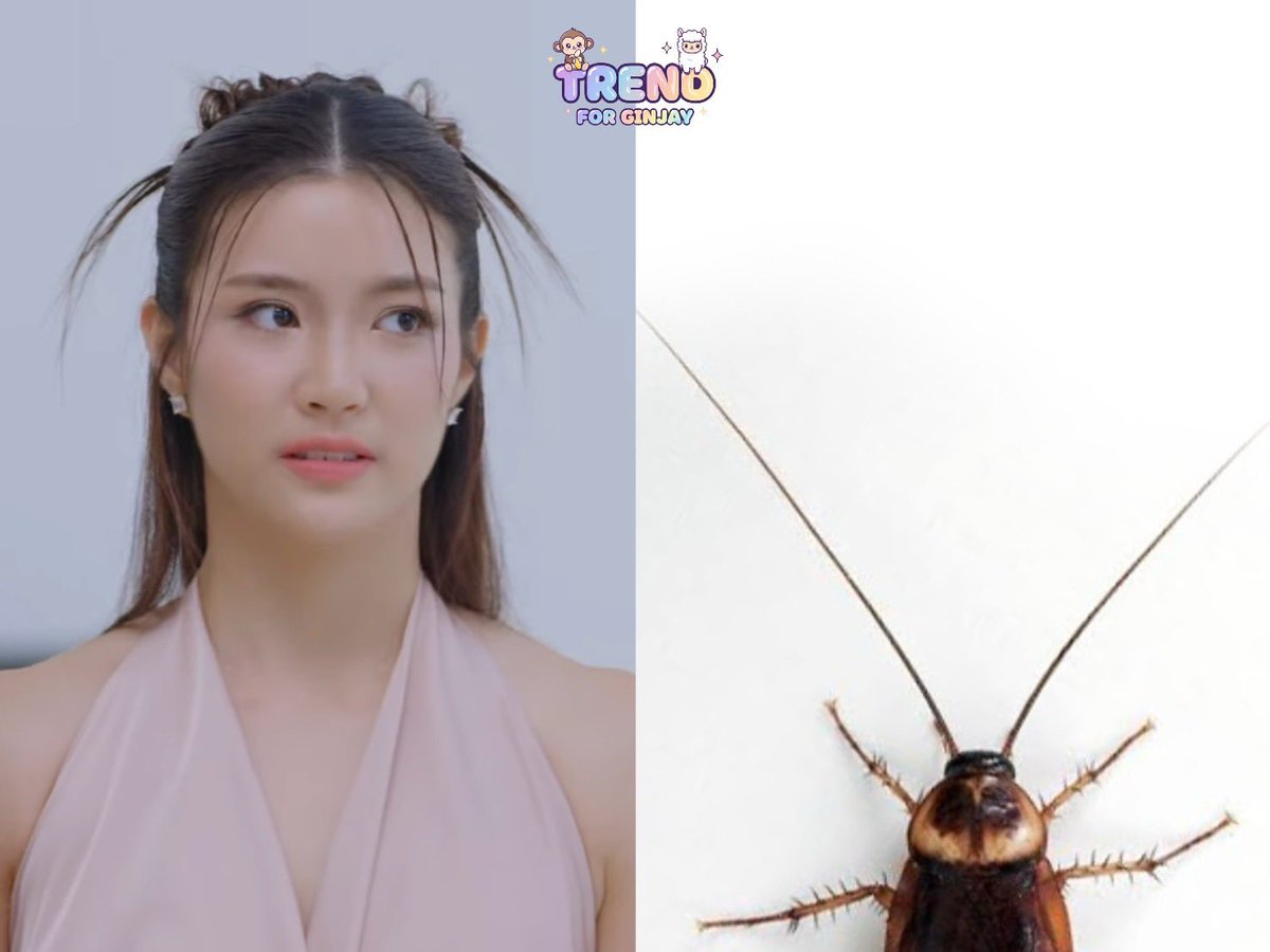 GinJayTrendTH's tweet image. พี่จินนี่น้องเทรนด์ยอมรับว่าแค่แว๊บเดียวจริงๆ งับ 
แต่ผมพี่จินนี่เหมือนมากก จริงๆ 🙏🏻🤭😅

HONEYMOON WITH PREMPAT
#SpecialEPPoisonousLove