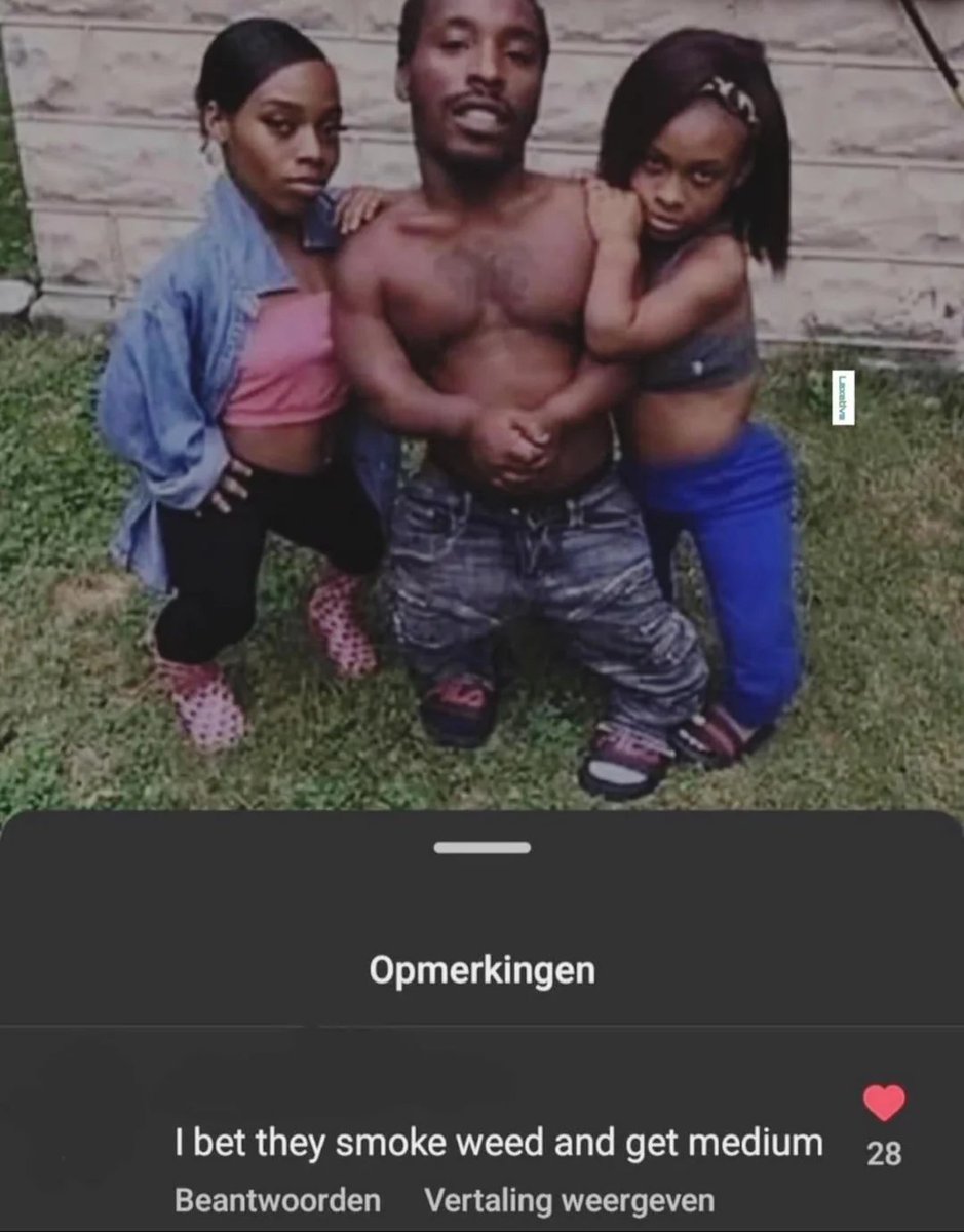 ReplyArchive's tweet image. 