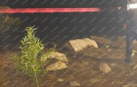 Diario_Cambio's tweet image. 🚨🟣¡Fatal hallazgo!

Así fue como encontraron el cuerpo sin vida de una mujer, en San Andrés Azumiatla, Puebla. La víctima, fue hallada a inicios de semana y al parecer, fue asesinada a pedradas, lo que la convierte en la víctima número 1 de feminicidio en el estado, en lo que…