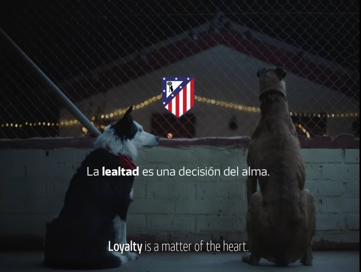 Jodido, pero tengo claro que cada día te quiero más <a href="/Atleti/">Atlético de Madrid</a>