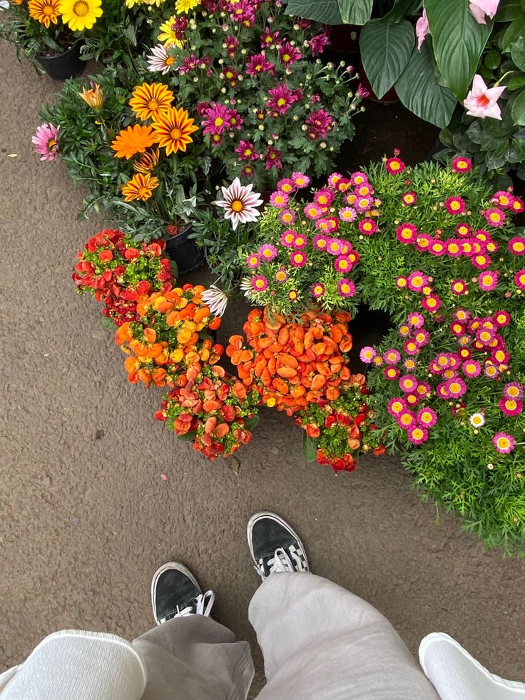 greenvibe's tweet image. 