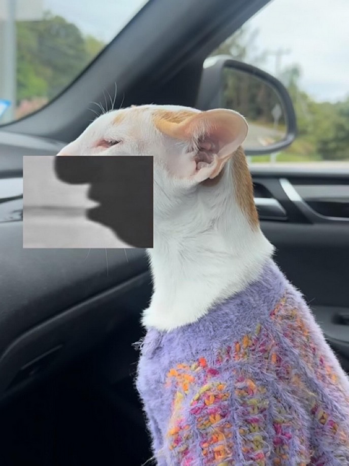 greatestbkfacts's tweet image. 