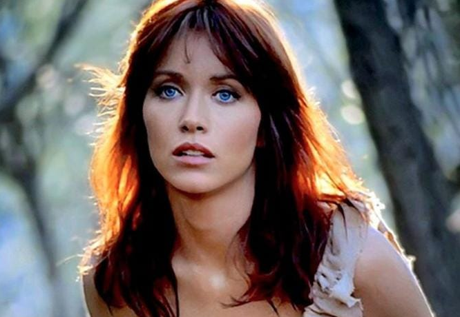 Kevin Lamb tweet media