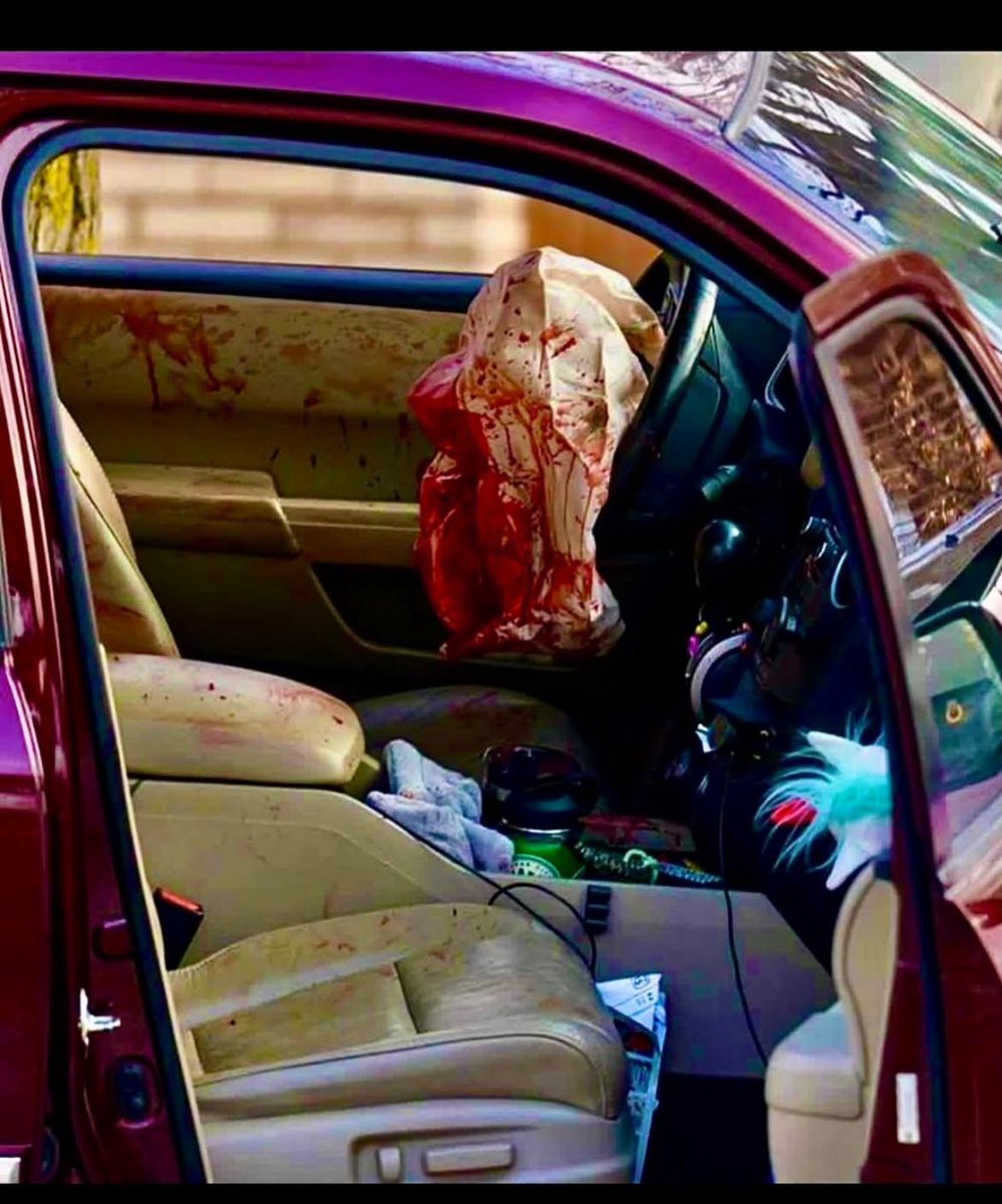 Nadia Somma Caiati (@nadiesdaa) on Twitter photo 