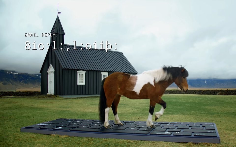 horseimage's tweet image. today is World Typing Day

Iceland offers the service of 3 helpful Icelandic horses who use their giant keyboards to write your out-of-office emails while you enjoy your holiday 🇮🇸