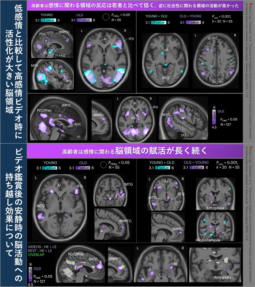 高齢者理学療法学 メジカルビュー社｜理学療法士｜Crosslink 理学療法学テキスト 高齢者