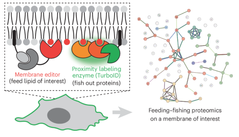 Nature Chemical Biology tweet media