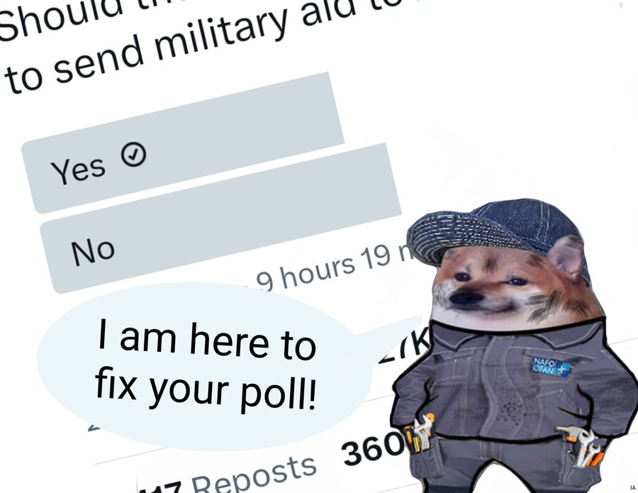 Poll Bonker 🗳️🔨 tweet media