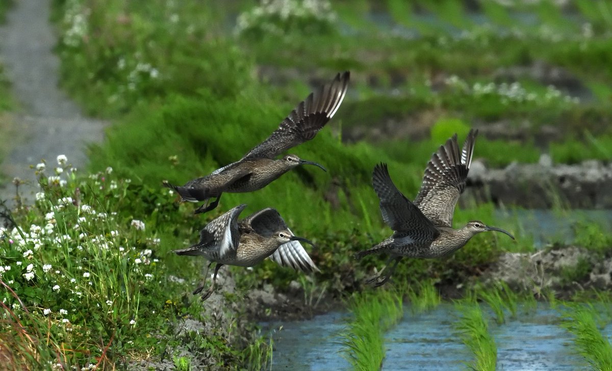 RealityDesignz's tweet image. The sound of rain tapping on the window is so calming 🌧️🪟