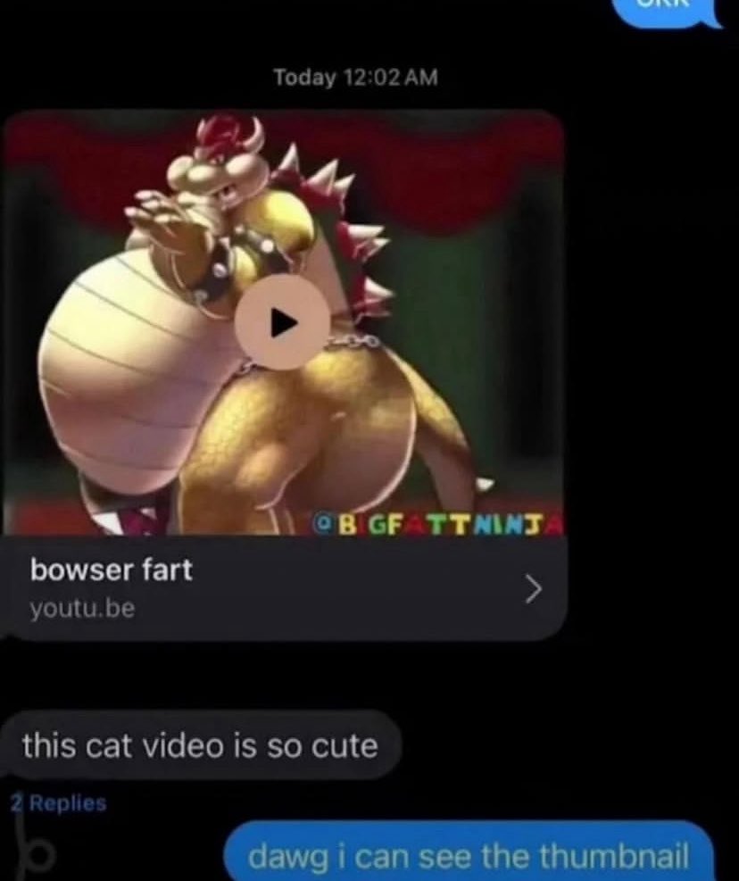 BowserFarts's tweet image. 