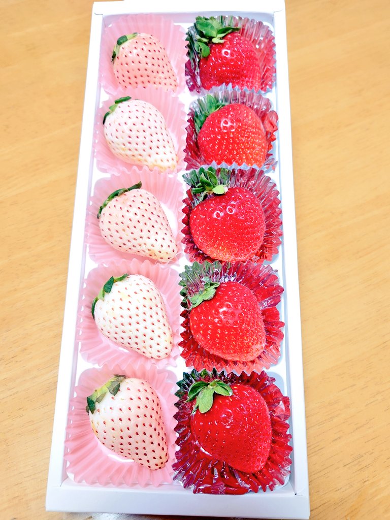 〈紅白〉😺

友人から素敵なお年賀プレゼント🎁頂きました😊

紅白いちご🍓

とても縁起良い色合いですね👏😄

見た目も可愛いニャ〜😻

ありがとう🙏😆

何か日本人は🇯🇵やはり紅白がめでたくていいなぁ😌

甘さと酸味がとても美味しいイチゴ🍓でした😋

今朝も寒そうだけど😣

今日も頑張るニャ〜😹