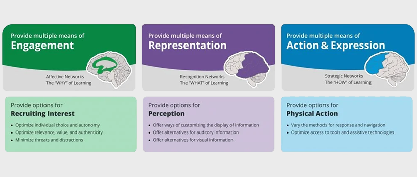 UofSC_CTE's tweet photo. Tomorrow is the last day to apply for the Universal Design for Learning (UDL) in Practice Short Course! A 6-week, fully online, asynchronous course, the short course is focused on the practical application of UDL principles. Apply Now! https://t.co/Yp2jMaTIn4 #UDL https://t.co/IoR2jHdBag
