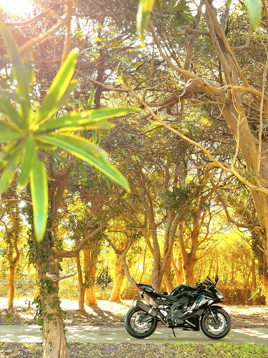 saorin🫧 (@saorisen1209) / Posts / X