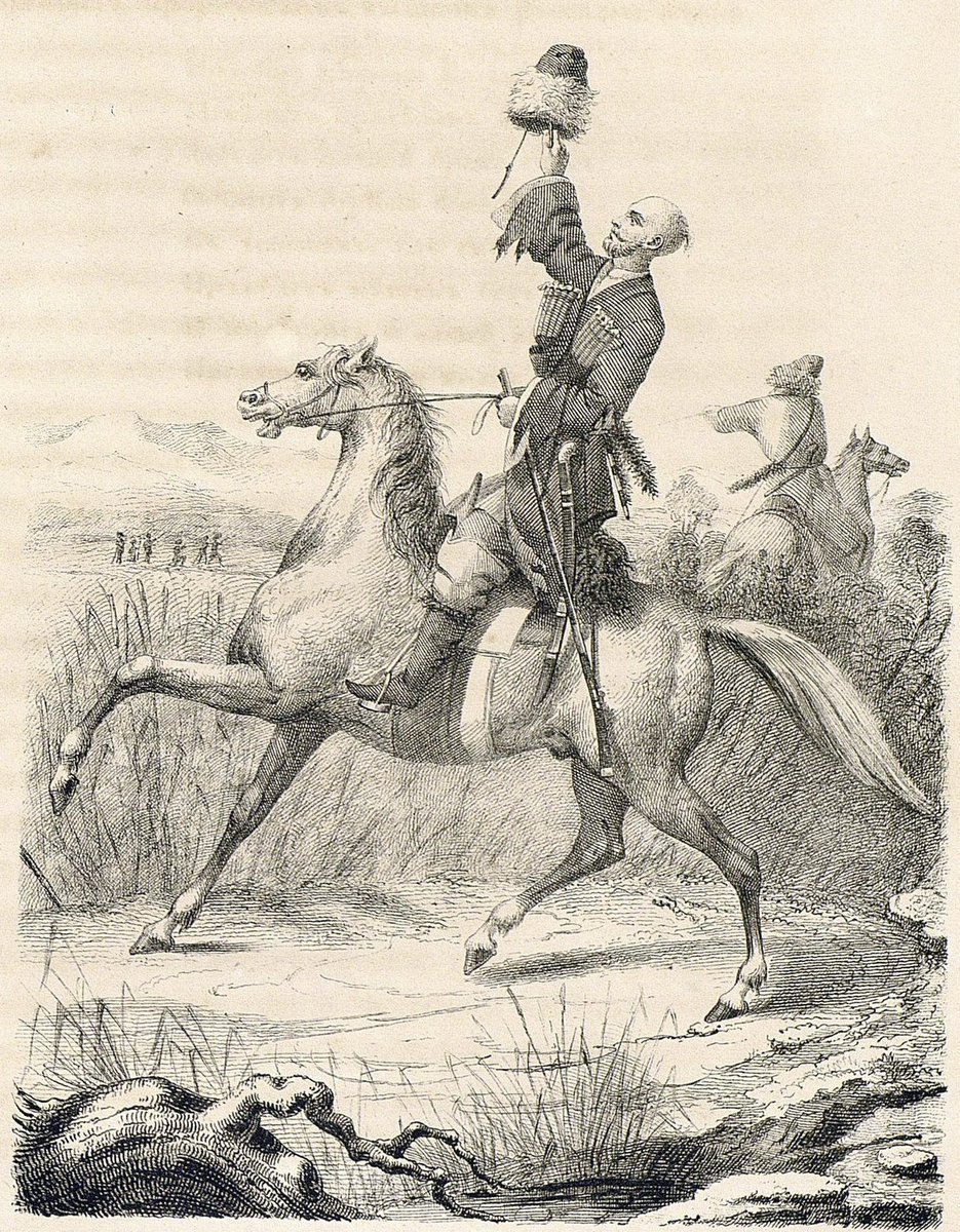 PAN CAUCASUS tweet media