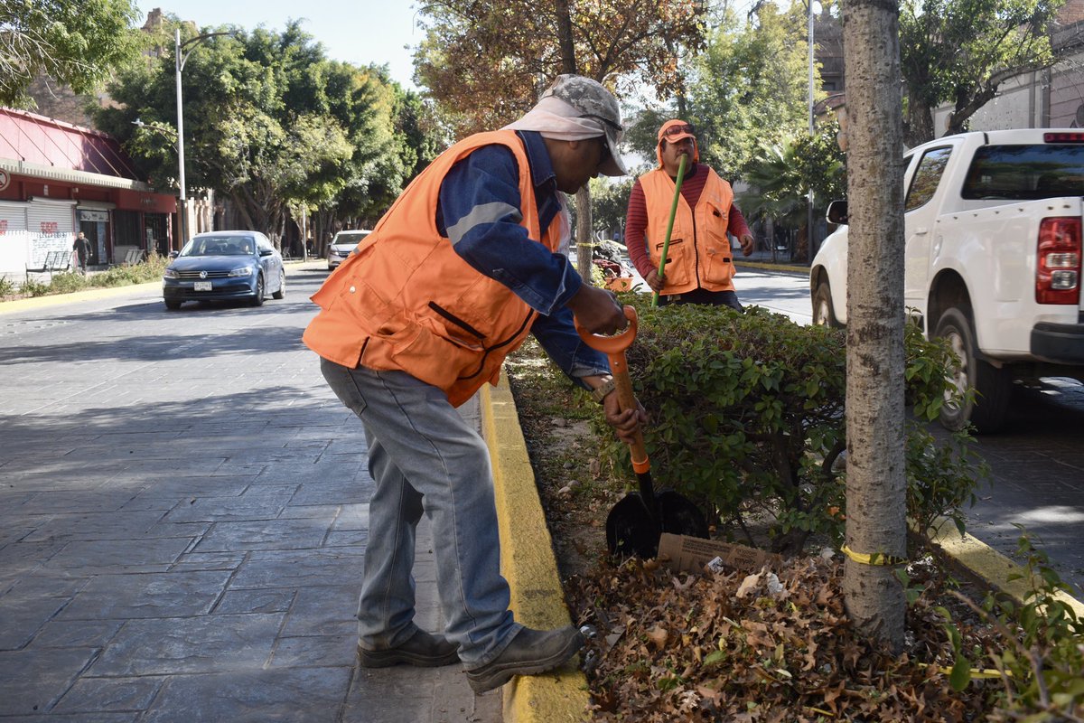 Nuestro equipo realiza labores de mantenimiento integral en el camellón central de la avenida Carranza, llevando a cabo limpieza, poda y cuidado de las áreas verdes para brindar espacios más agradables y seguros a quienes transitan por esta importante vialidad.

¡#SanLuisCapital