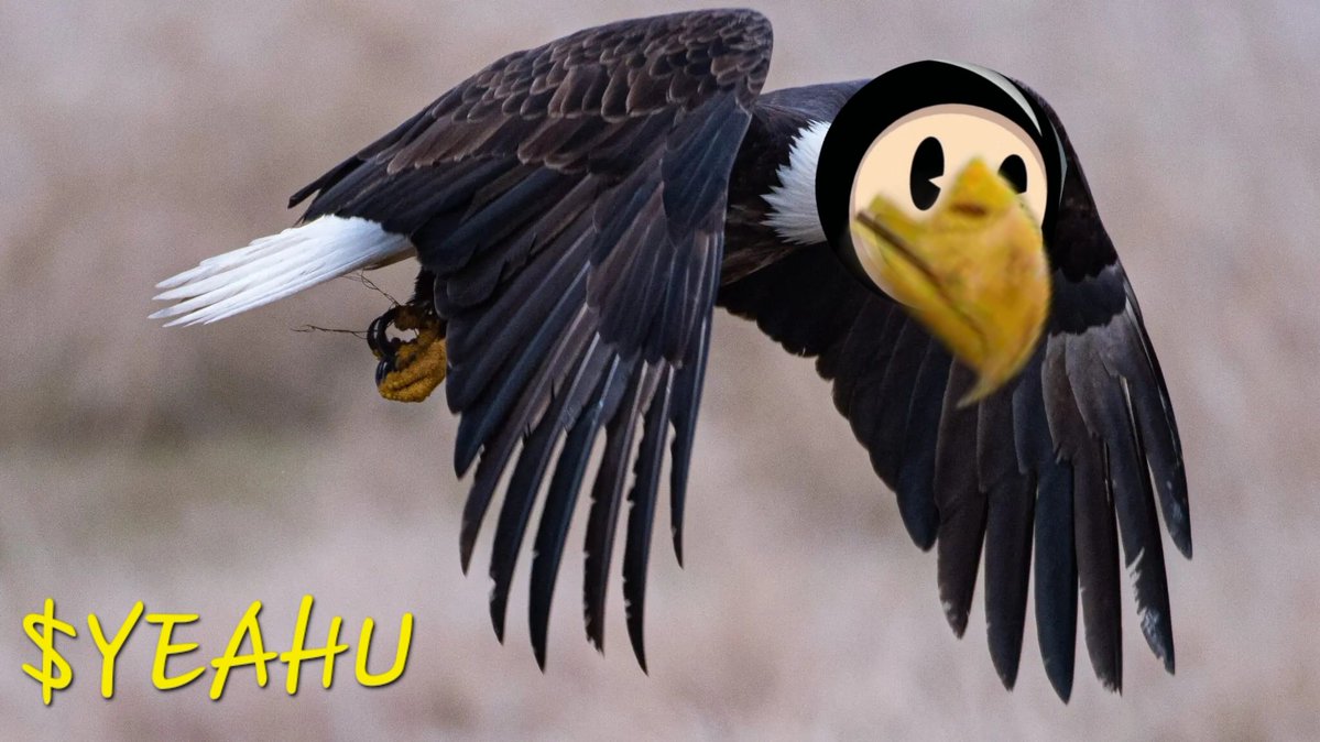 Fill up those bags to feed your chicks ya'll!

Yeah...you?  $YEAHU