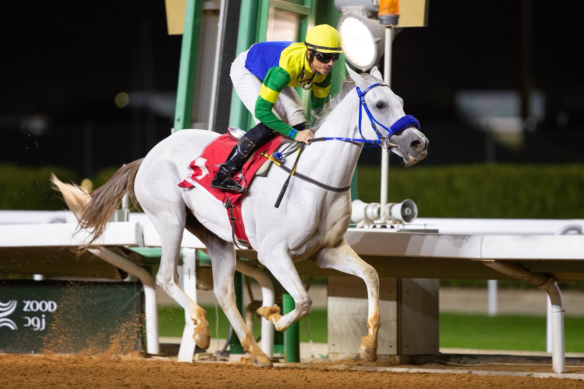 ميدان الأمير سلطان tweet media