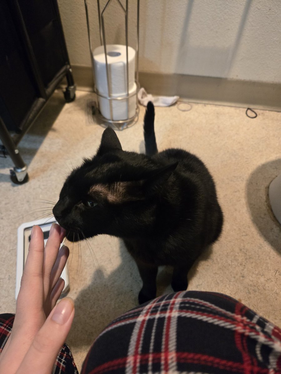 Puppywife tweet media