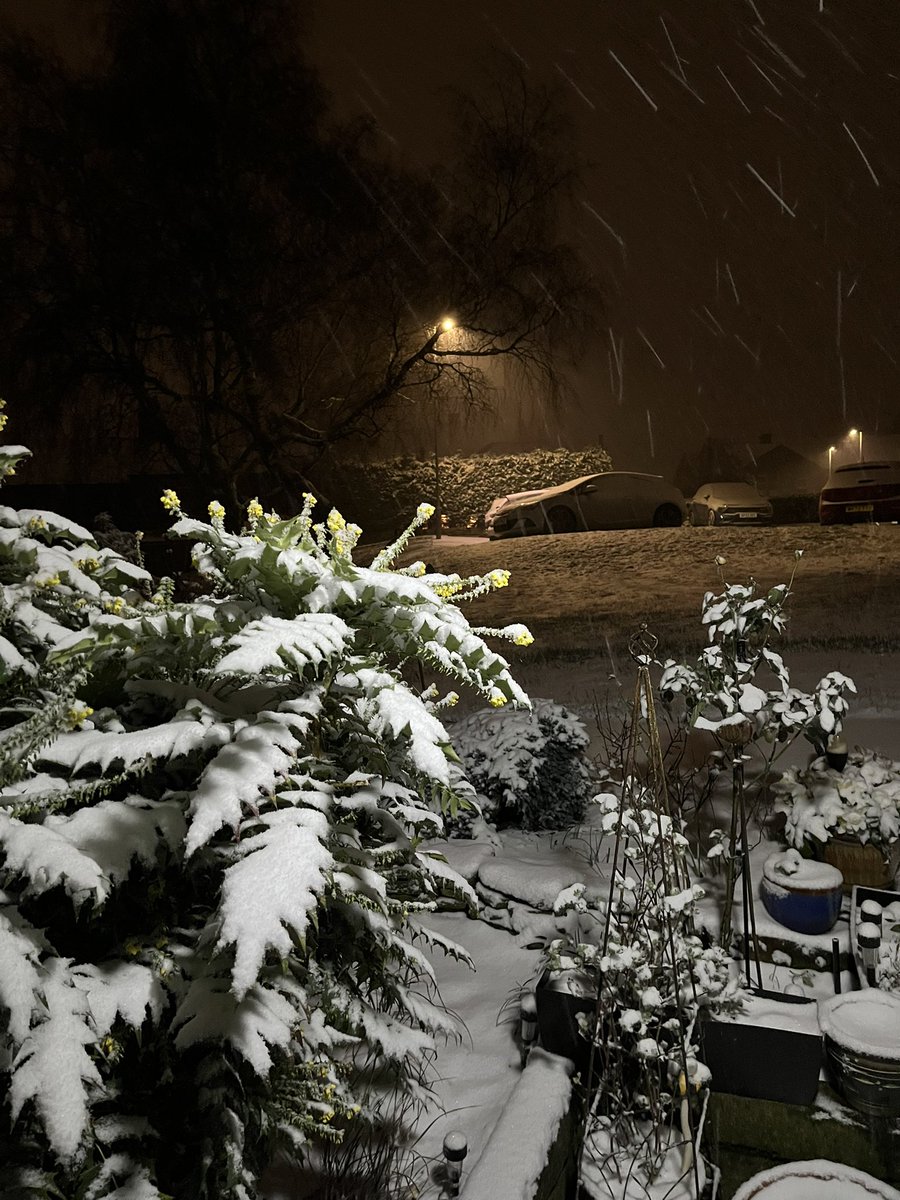 hoppy1958's tweet image. Decent cover up in Scholes Holmfirth #HD9 #uksnow