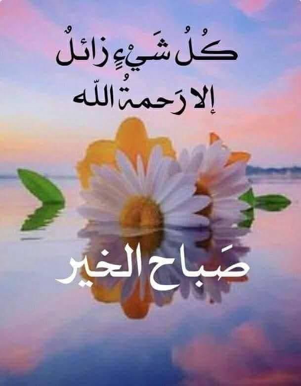 #اسقاط_القروض_لليوم_2530 
#القرض_الحسن_٢١_الضعف 
#صباح_الخيرᅠ