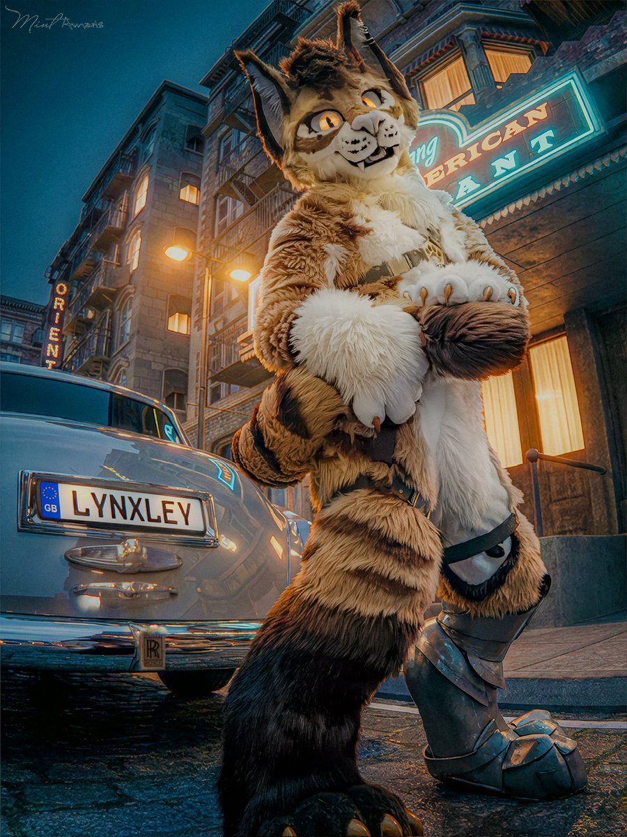 lynx_flynn's tweet image. 😈