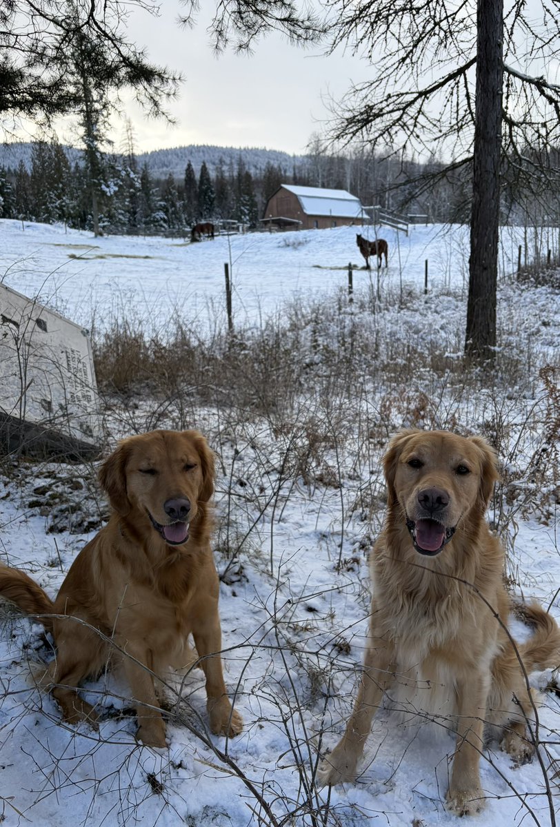 joe_stajduhar's tweet image. Thursday smiles