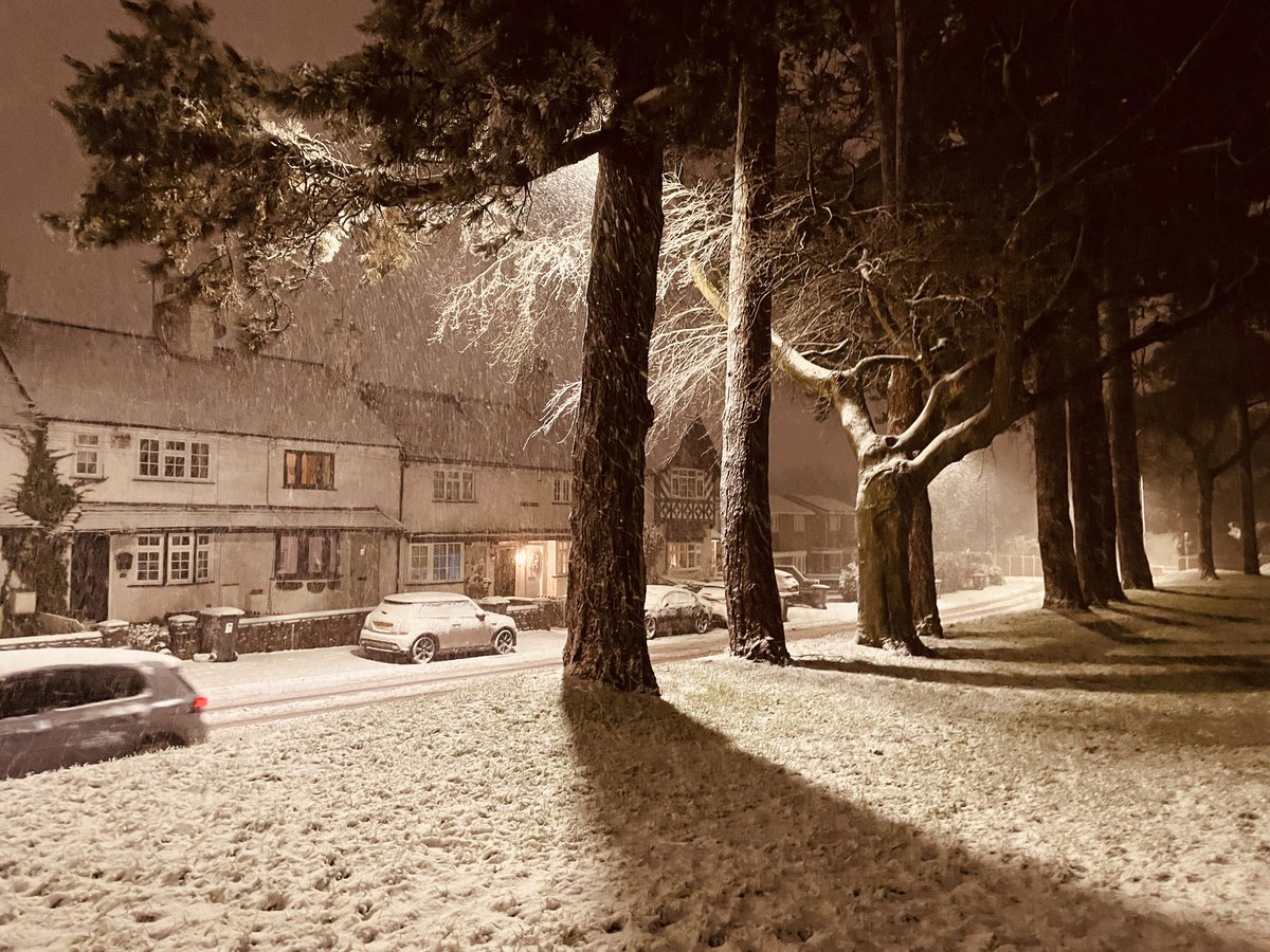 Adrian Nantchev tweet media