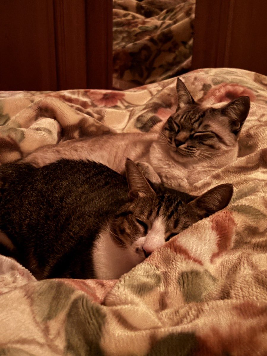 さすがに幸せな顔〜