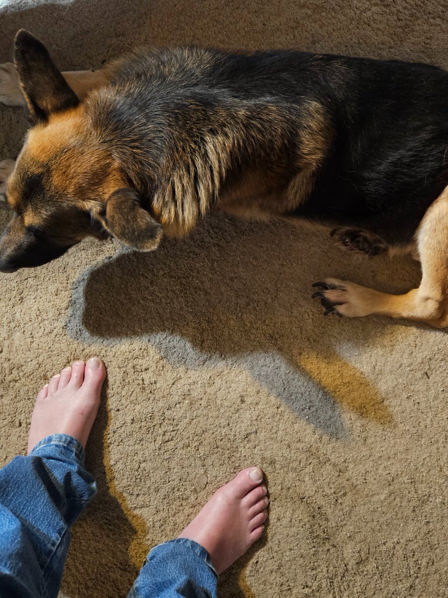 Thor and I had a good 2 hour nap. My apologies for the 70 year old feet. Sorry.