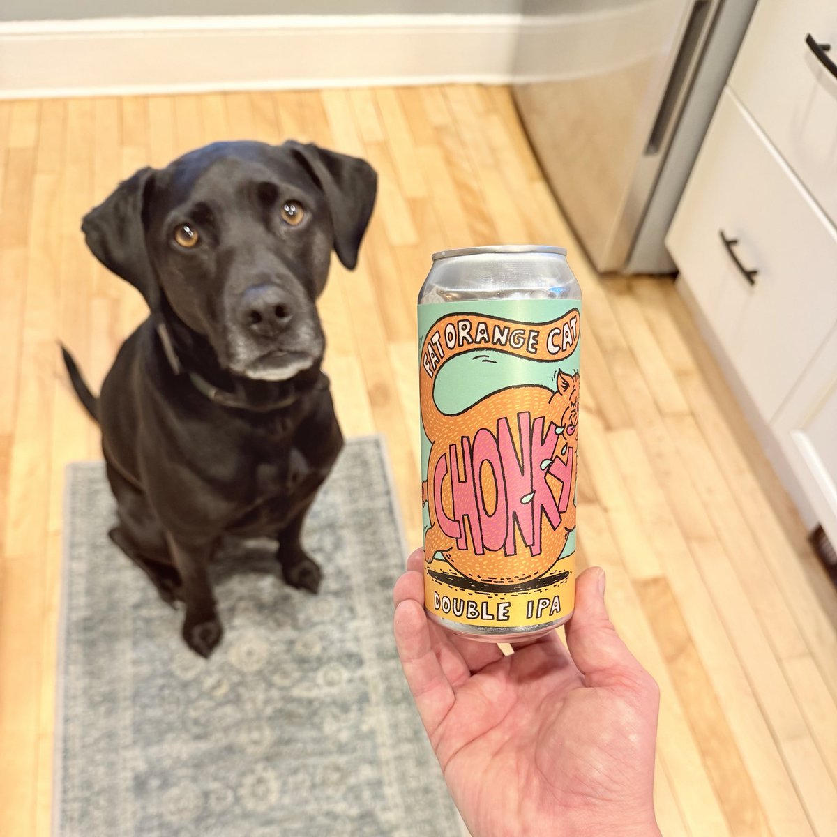 SOLMacDonald tweet media