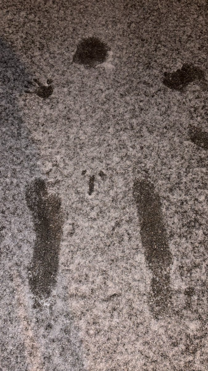 Grad Gottlos ausgerutscht nach der Arbeit.
Muss den das so Rutschig sein😩