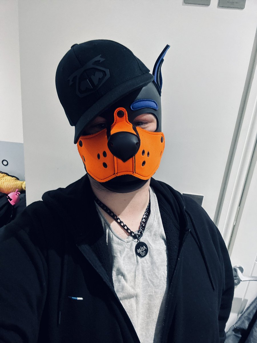 The mutt is ready for a walk 🐕