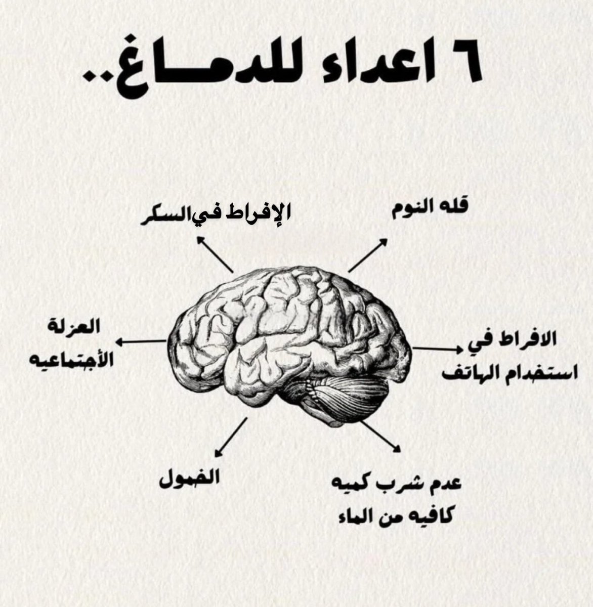 DAlkhawtani's tweet image. 