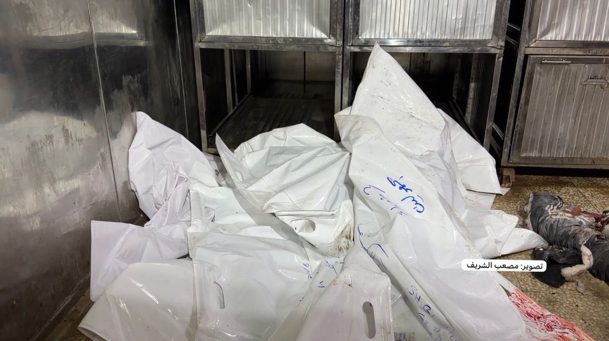 MusabAlShareef0's tweet image. وصول أربعة شهداء الى مستشفى الشفاء في مدينة غزة نتيجة استهداف منشأة تجارية في منطقة عسقولة في حي الزيتون