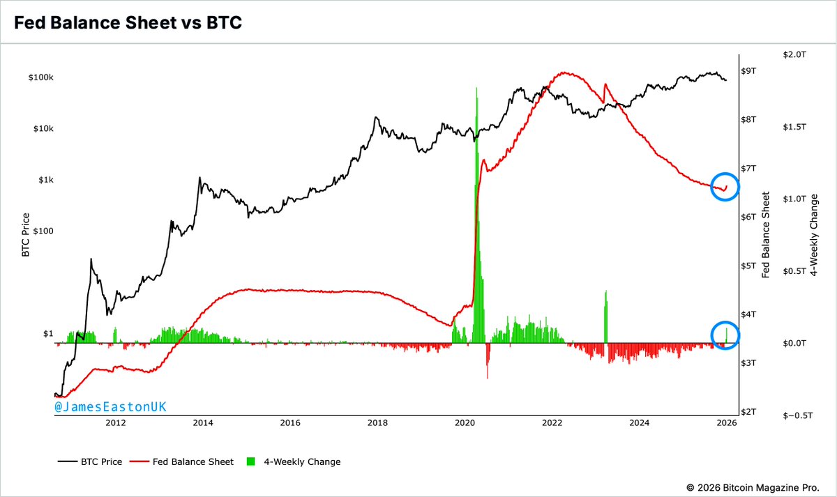 Mario Nishikawa (@mario_nishikawa) / Posts / X