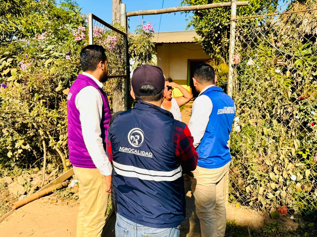 AgrocalidadZ7's tweet photo. #Loja | En coordinación con @GoberLoja realizamos fiscalización de predios de producción porcina, con la finalidad de controlar el cumplimiento de la normativa sanitaria y la vacunación contra la Peste Porcina Clásica en el cantón Puyango. https://t.co/UBGYfOeHe5
