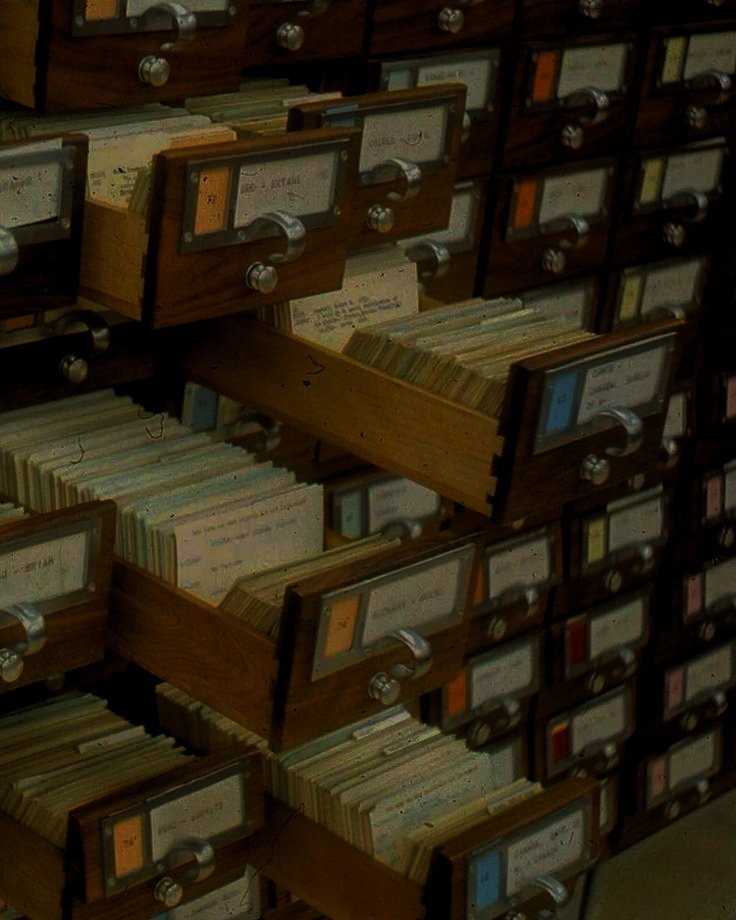 redhellkp's tweet image. ⠀
кажется, за такое терпение мне стоит начать вписывать его, как соавтора статей. но хотя бы камера пригодилась не только для съёмки местных пейзажей, где не происходит...ничего. правда, в архиве есть много интересного, так что на ближайшие пару часов мы точно застрянем там.
⠀