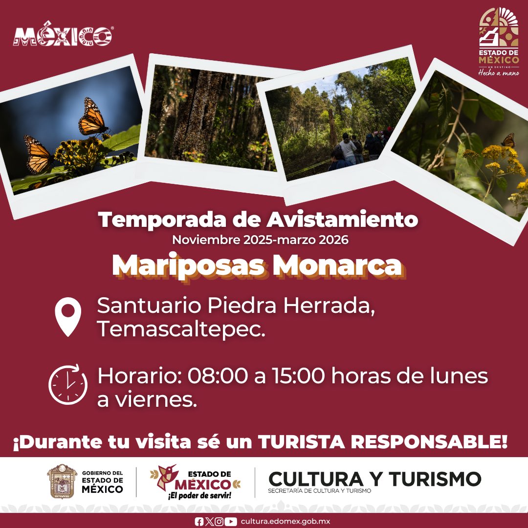 EdomexTurismo's tweet photo. Disfruta con responsabilidad el avistamiento de las Mariposas Monarca en el Santuario de Piedra Herrada, ubicado en el municipio de Temascaltepec. #DaleClick al video.
Estado de México #UnDestinoHechoAMano https://t.co/4ZFXcBFxQN