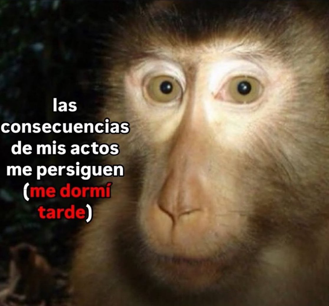 Salvador Iglesias Jr (@javisness) on Twitter photo 