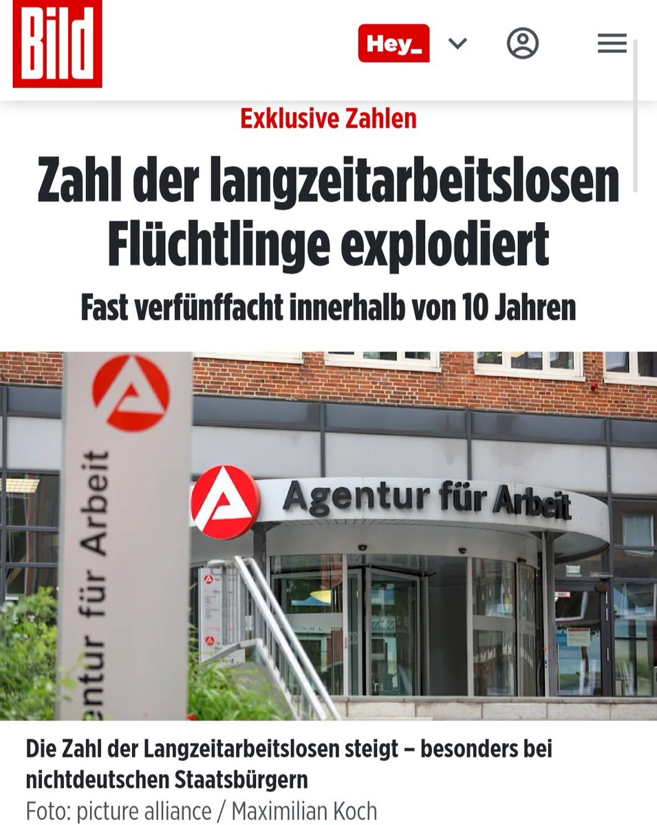 Sollte die AfD nicht schon 51% haben?