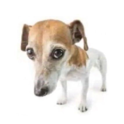 ☆ bea ☆ tweet media