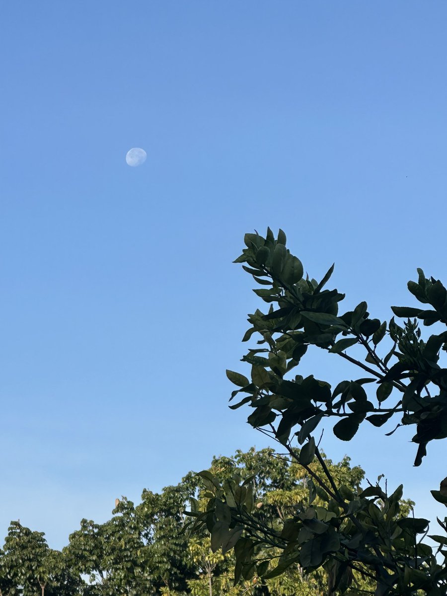 ValenSalcedoo's tweet photo. Las simples cosas de la vida 🌖✨

Gracias gracias gracias 🥰 https://t.co/XQn3LEQRT4