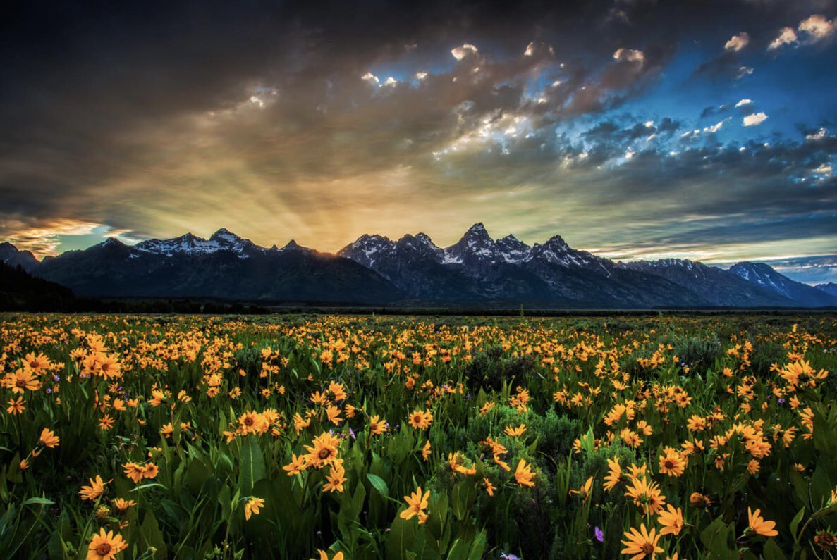 DrewWeb83278985's tweet image. 