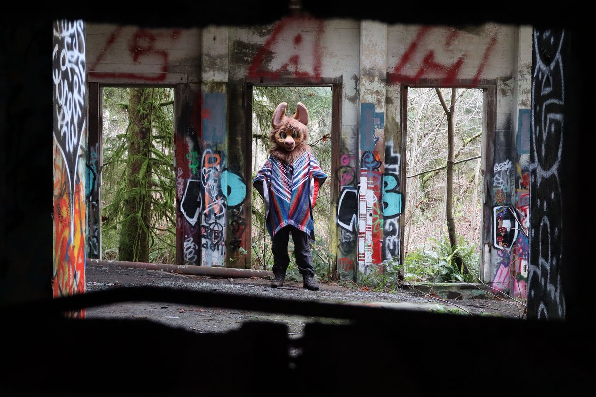 Carth the Llama tweet media