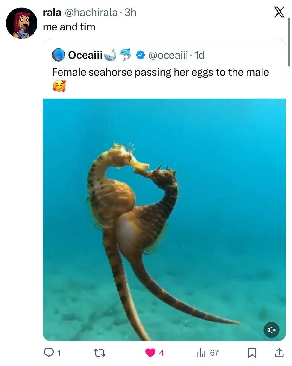 ichimivi's tweet image. Well yes!