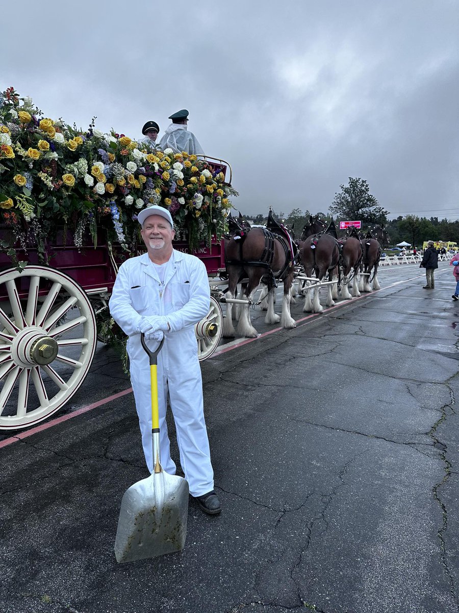 boboedy's tweet image. My second year working with the Budweiser Clydesdales at the 2026 Rose Parade. #pooperscooper #tournamentofroses #roseparade #Volunteer