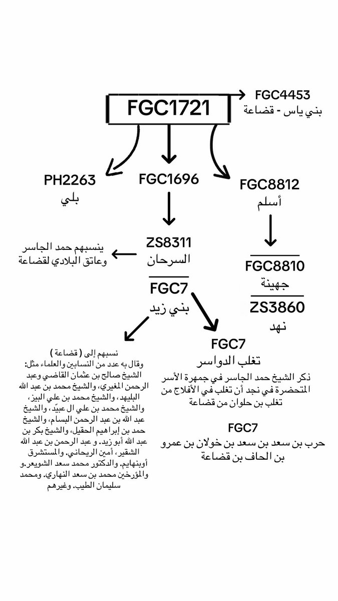 HaiderAlAnzi1's tweet photo. نتوقع زيادة الحديث عن (يوم ذي قار) تزامنا مع اكتشاف السلالة القضاعية
#L222 #FGC8812 #FGC7 #FGC1721 #FGC1705 https://t.co/BaDzZQXPTS